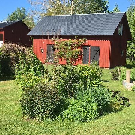 Liten Stuga Mitt I Naturen Pa Kinnekulle Hällekis Exterior foto