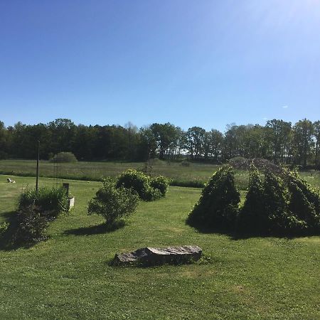Liten Stuga Mitt I Naturen Pa Kinnekulle Hällekis Exterior foto