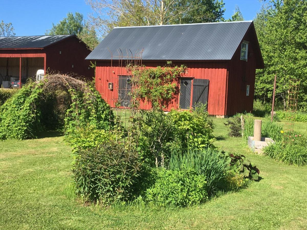 Liten Stuga Mitt I Naturen Pa Kinnekulle Hällekis Exterior foto