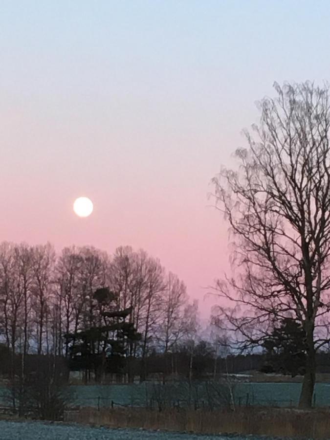 Liten Stuga Mitt I Naturen Pa Kinnekulle Hällekis Exterior foto